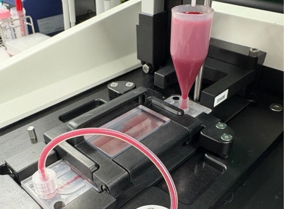超高性能光学顕微鏡とAIによる解析