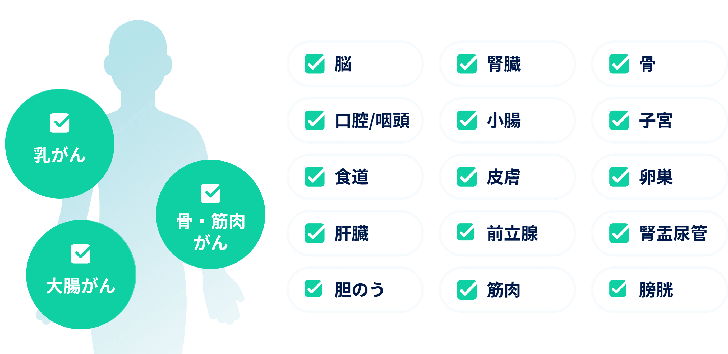 マイクロCTC検査は非常に高い精度でスクリーニング可能